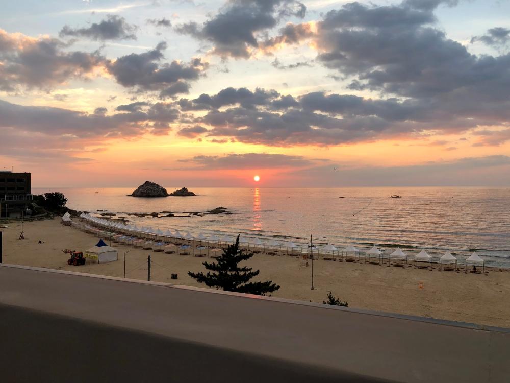 대표 사진