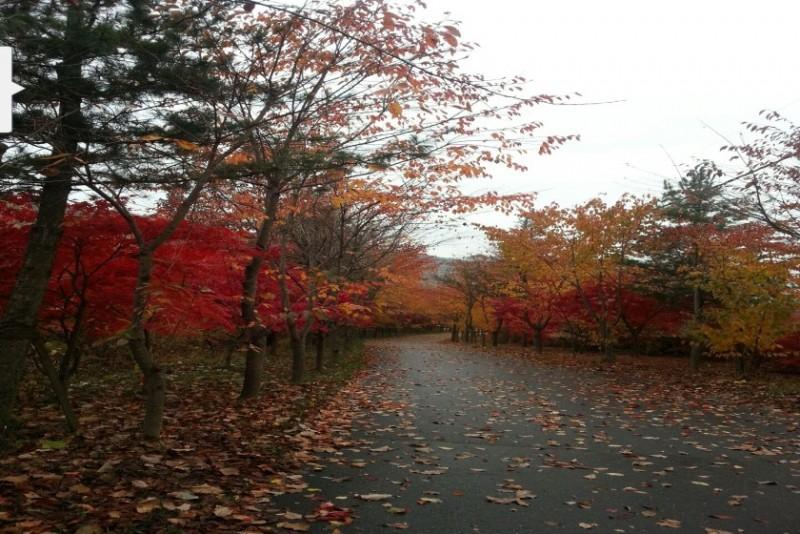 숙소 시설