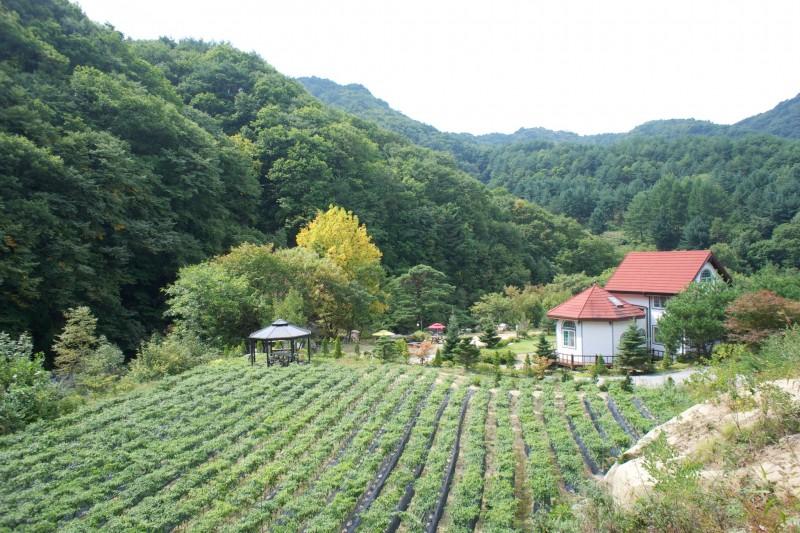 숙소 시설