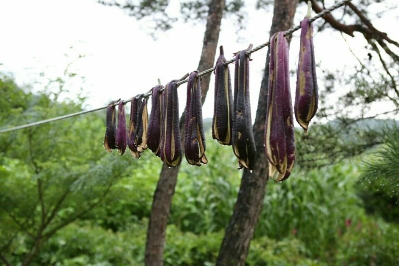 Yangpyeong Ggaruru Pension-37