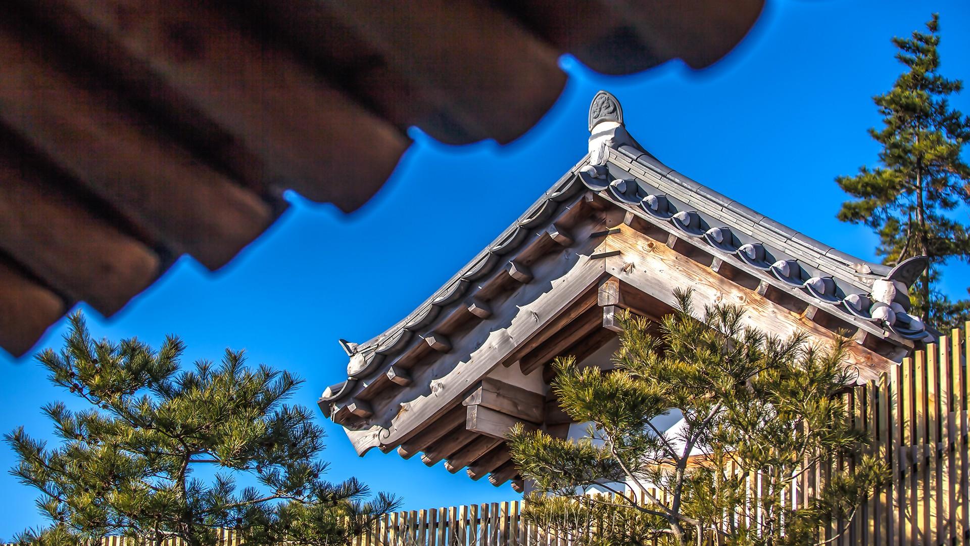 전경