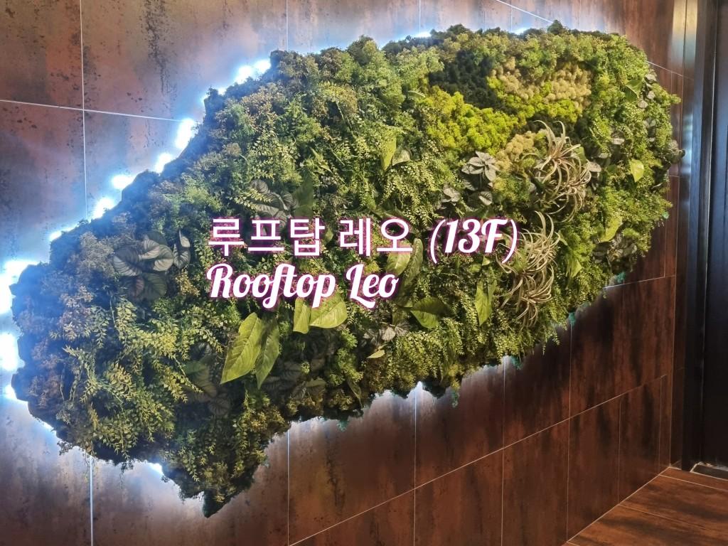 대표 사진