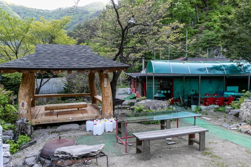 대표 사진