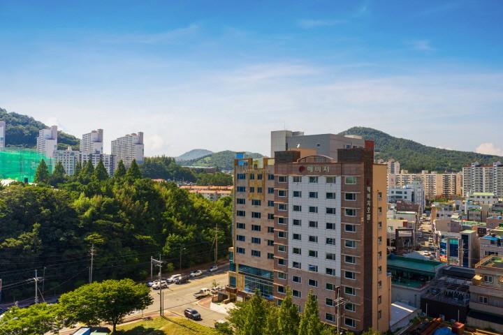대표 사진