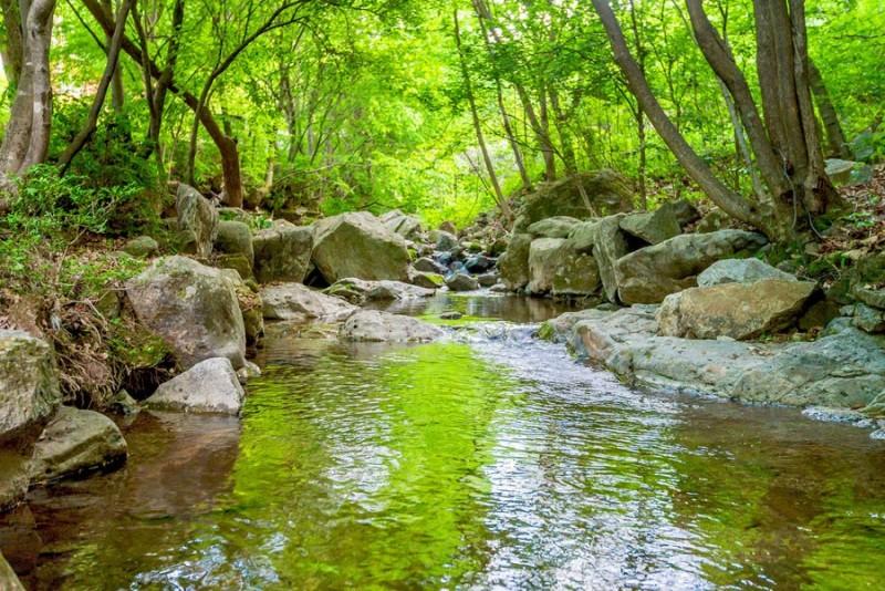 Yangpyeong Vivaldi Unshared House Pension-16