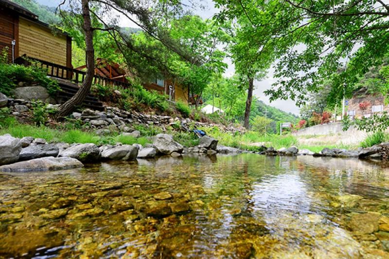 Gapyeong Bamgol Pension (Valley)-19