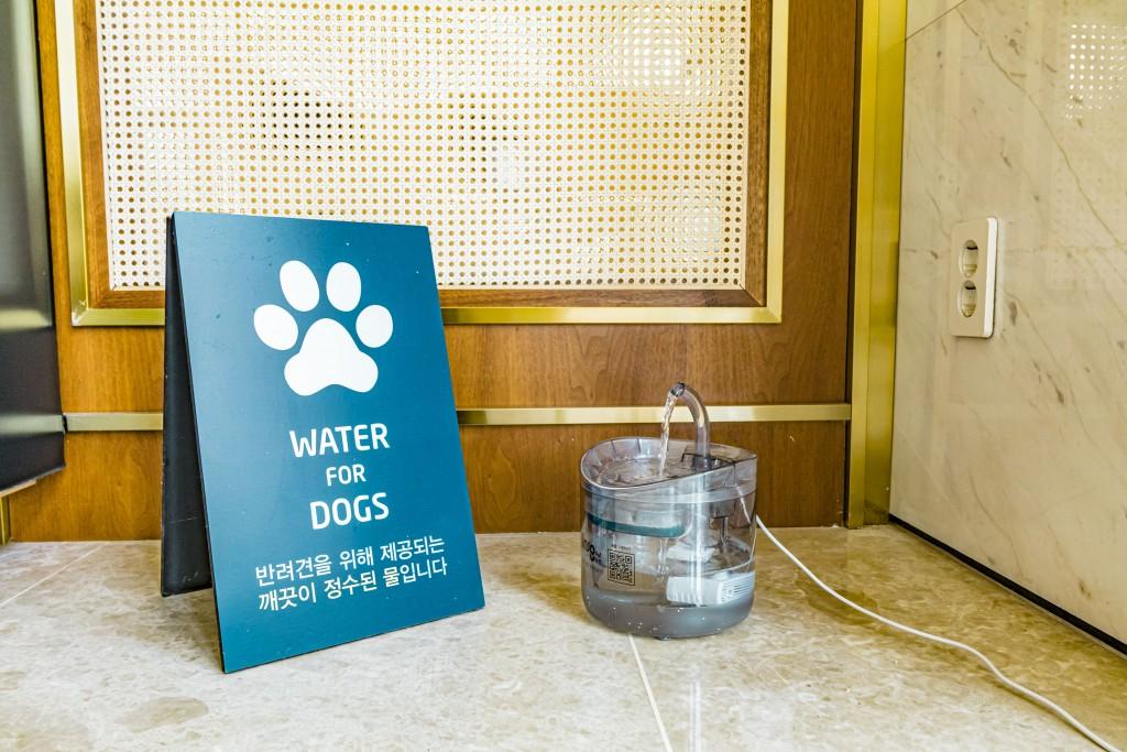 대표 사진