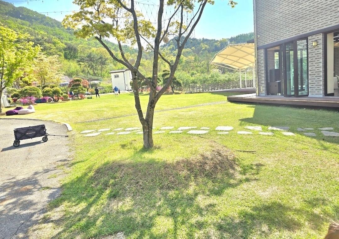 대표 사진