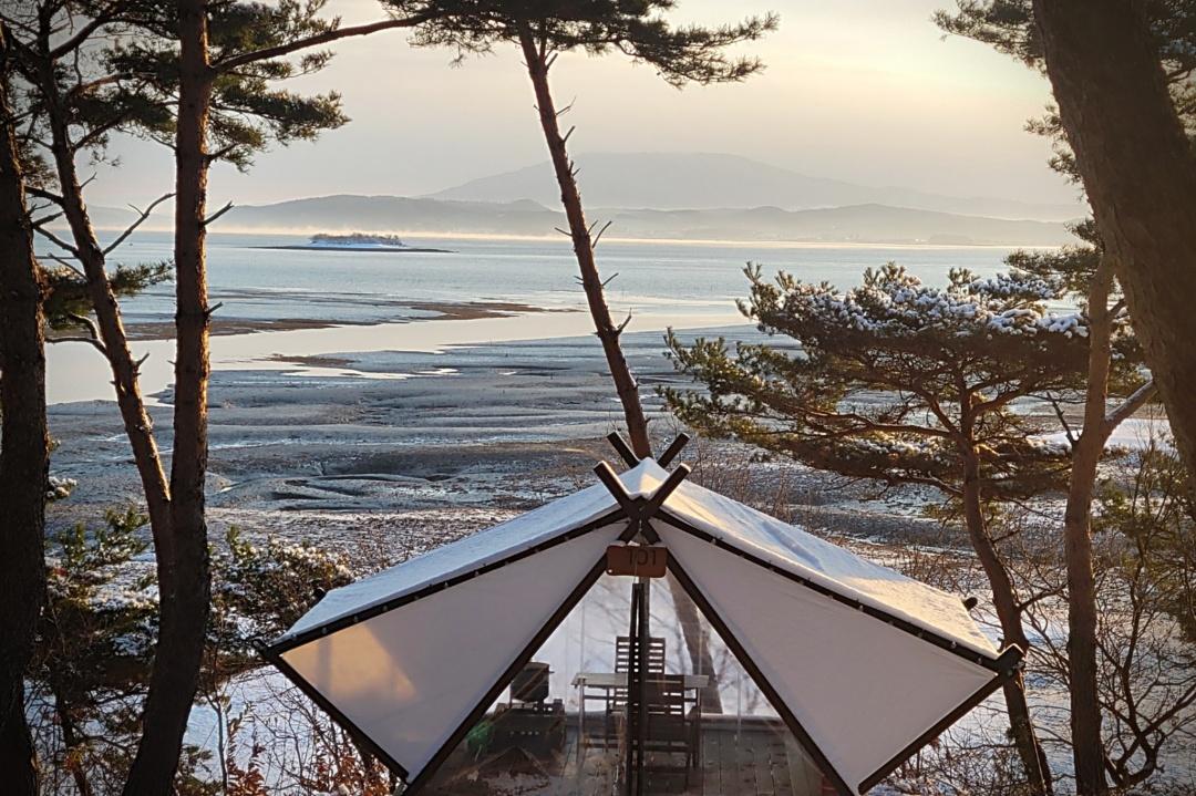 대표 사진