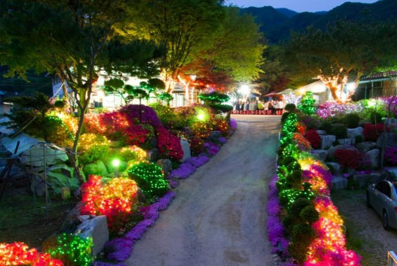 Gapyeong Flower Muji Pension (near the valley)-81