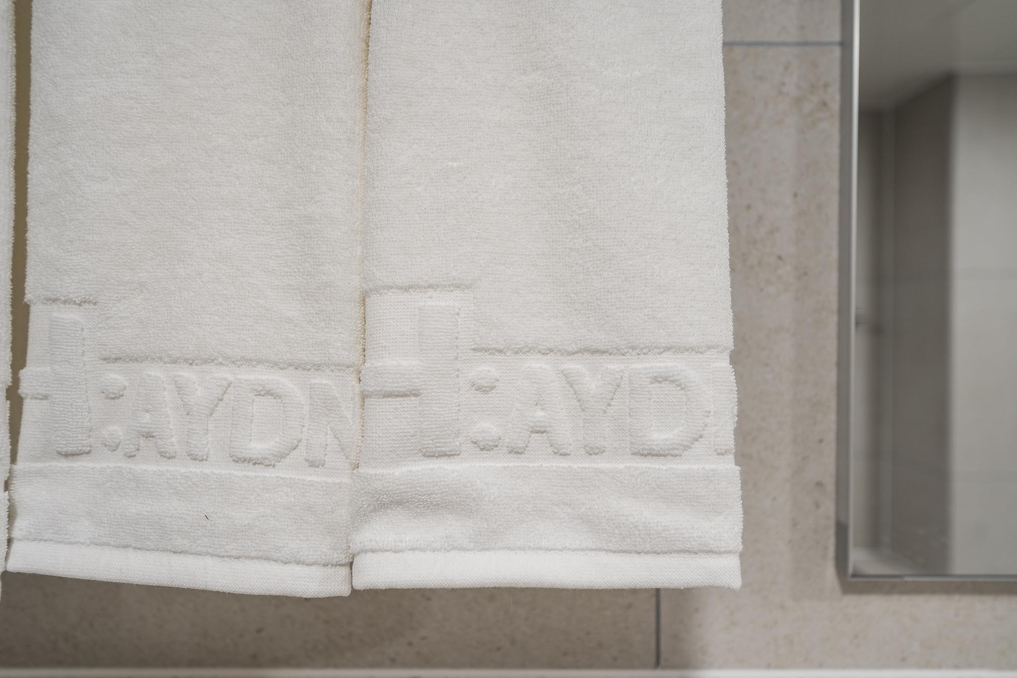 Hotel Haydn Seomyeon-17