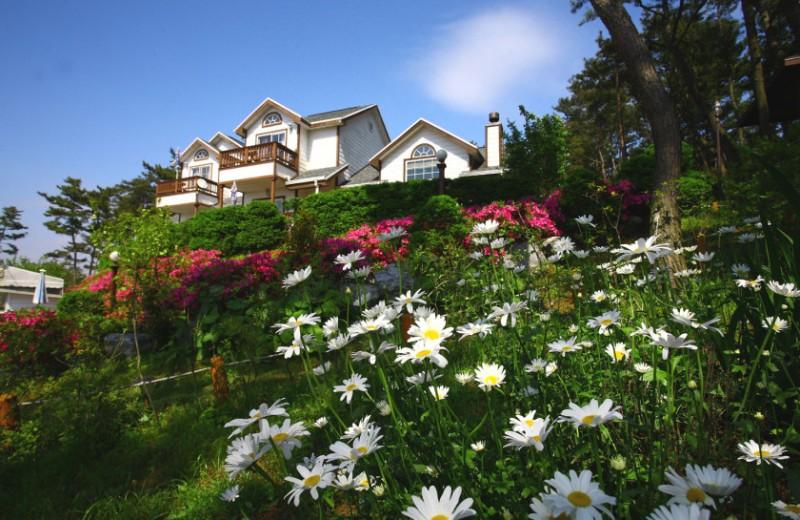 Taean Petit Maison Pension