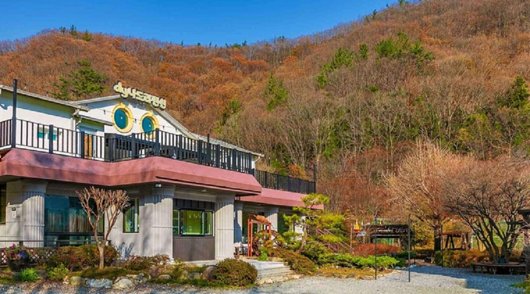 Damyang Nadri Pension