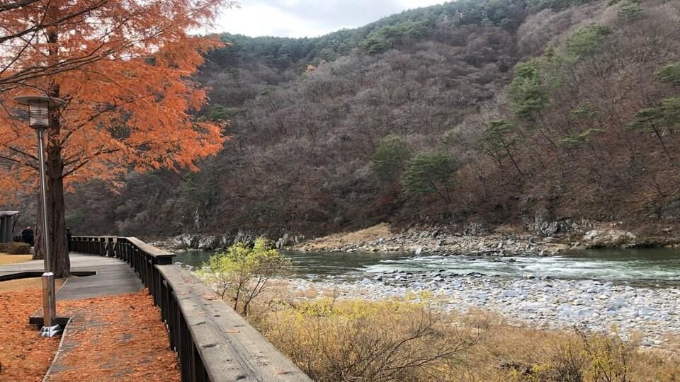 전경