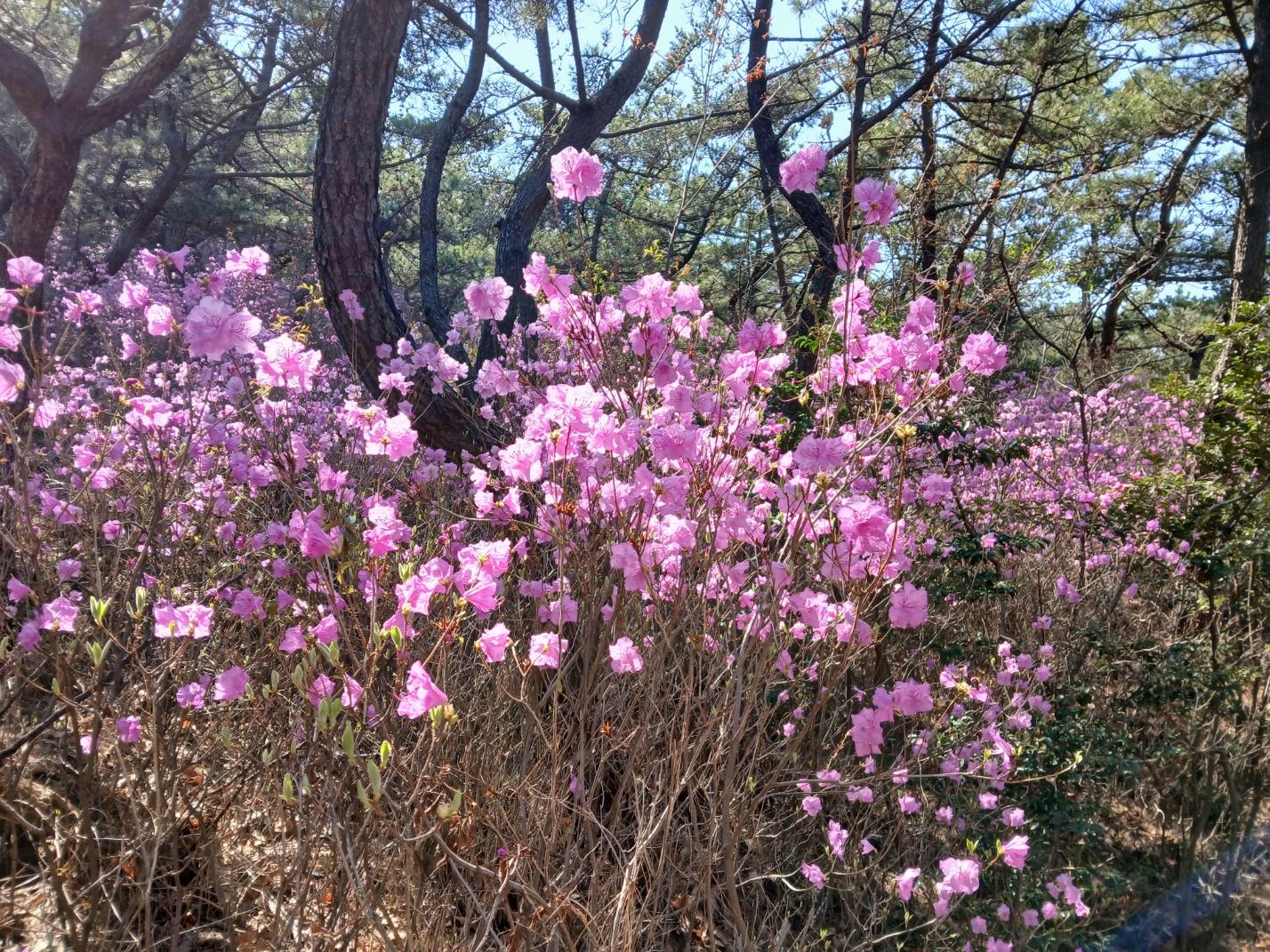 숙소 시설