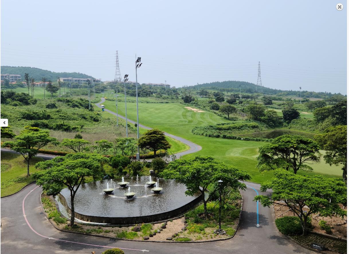 대표 사진