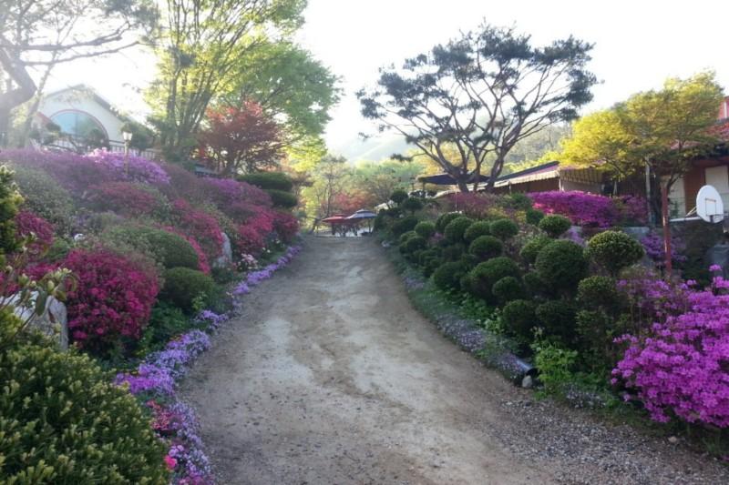 Gapyeong Flower Muji Pension (near the valley)-89