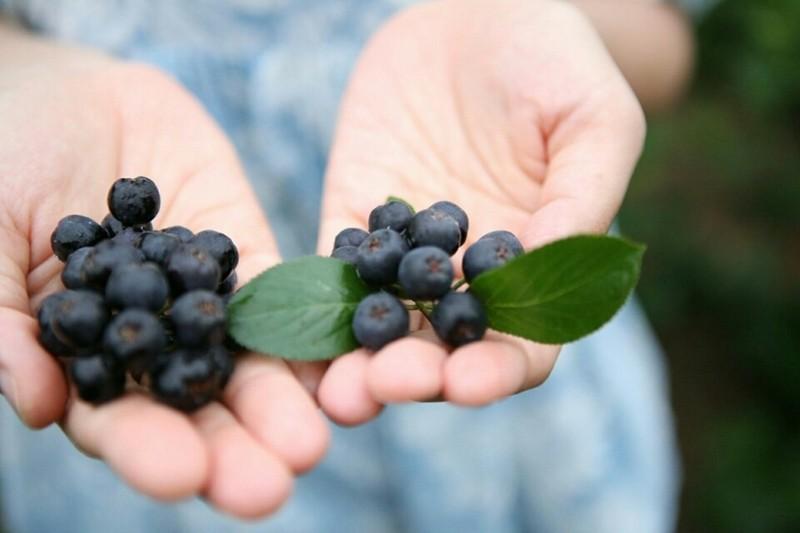 Yangpyeong Ggaruru Pension-16