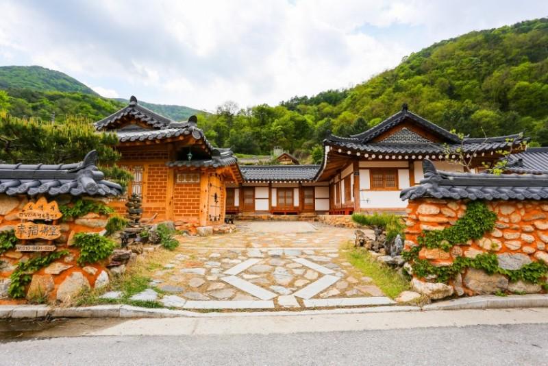 대표 사진