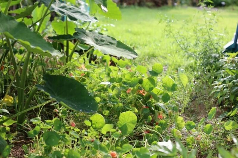 Yangpyeong Ggaruru Pension-31