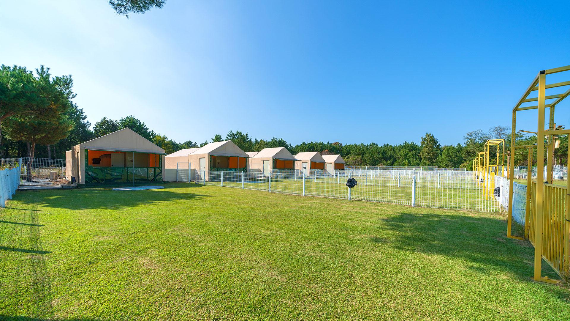 Taean Paradox Dog Pension Glamping