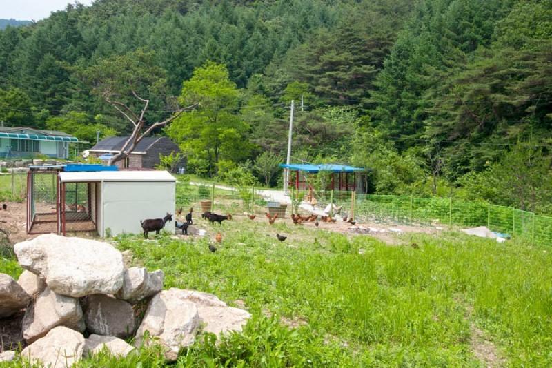 숙소 시설