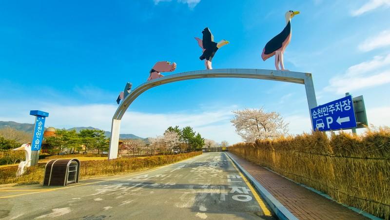 대표 사진