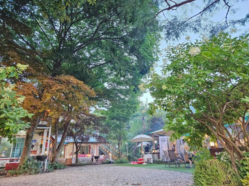 Gapyeong Flower Muji Pension (near the valley)-60