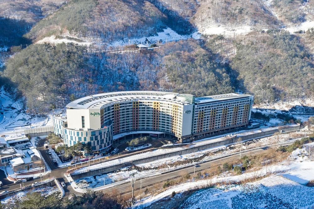 대표 사진