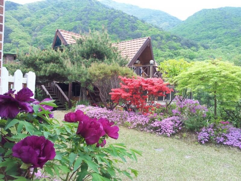 숙소 시설