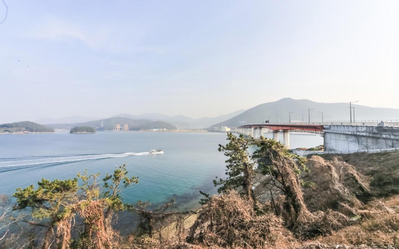 대표 사진