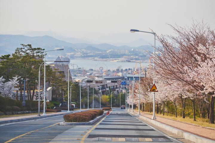 대표 사진