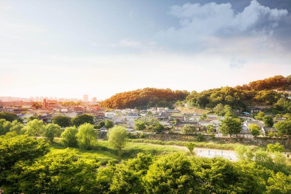 대표 사진
