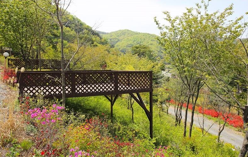 Cheongyang Gowoon Glamping