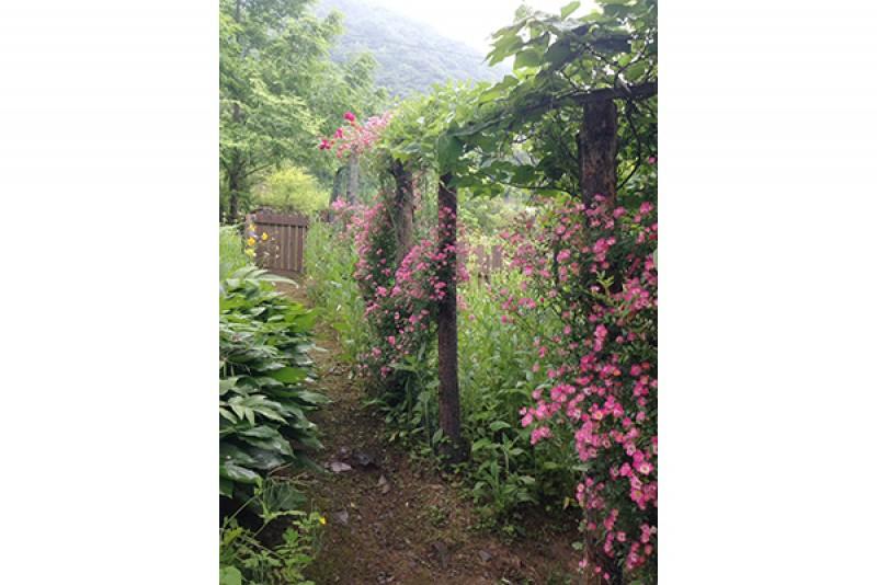 숙소 시설
