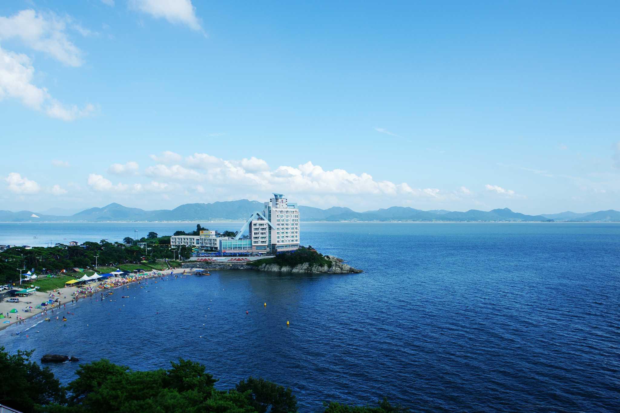 대표 사진
