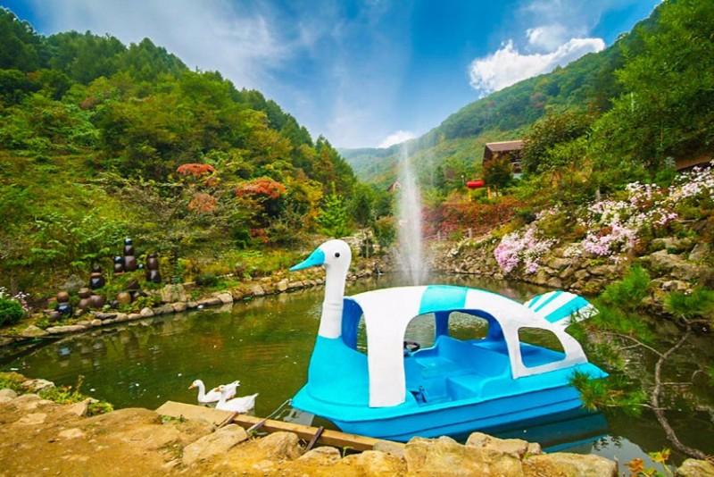 대표 사진