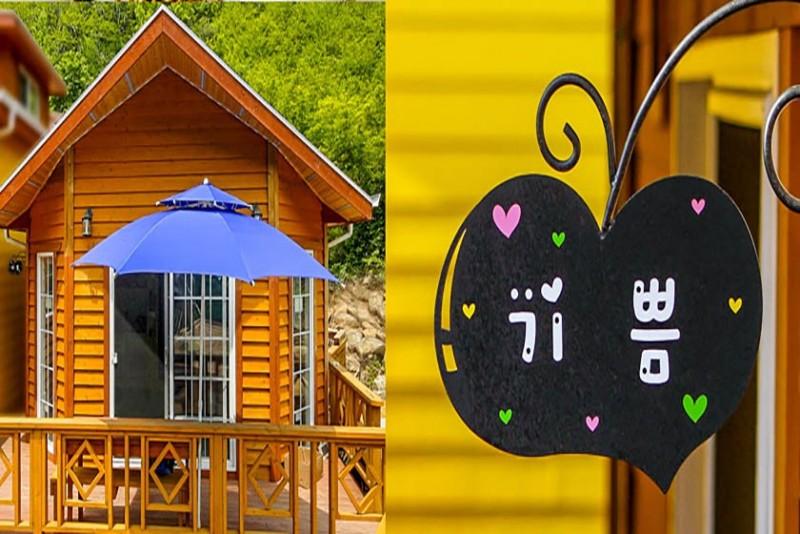 대표 사진