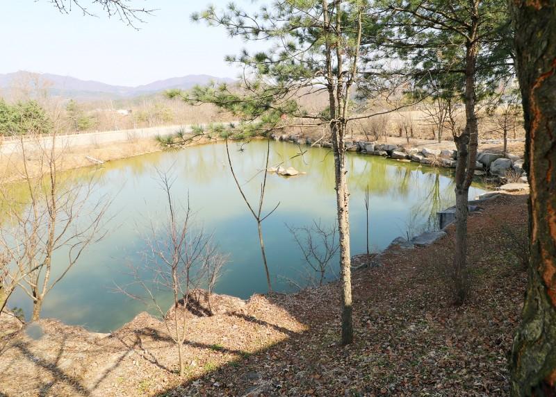대표 사진
