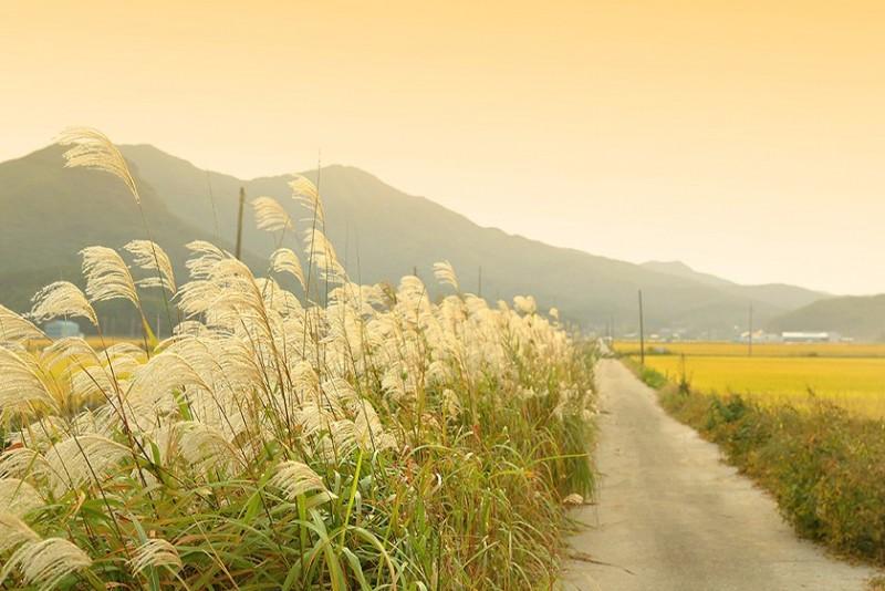 Ganghwado Maison Stella Pension-35