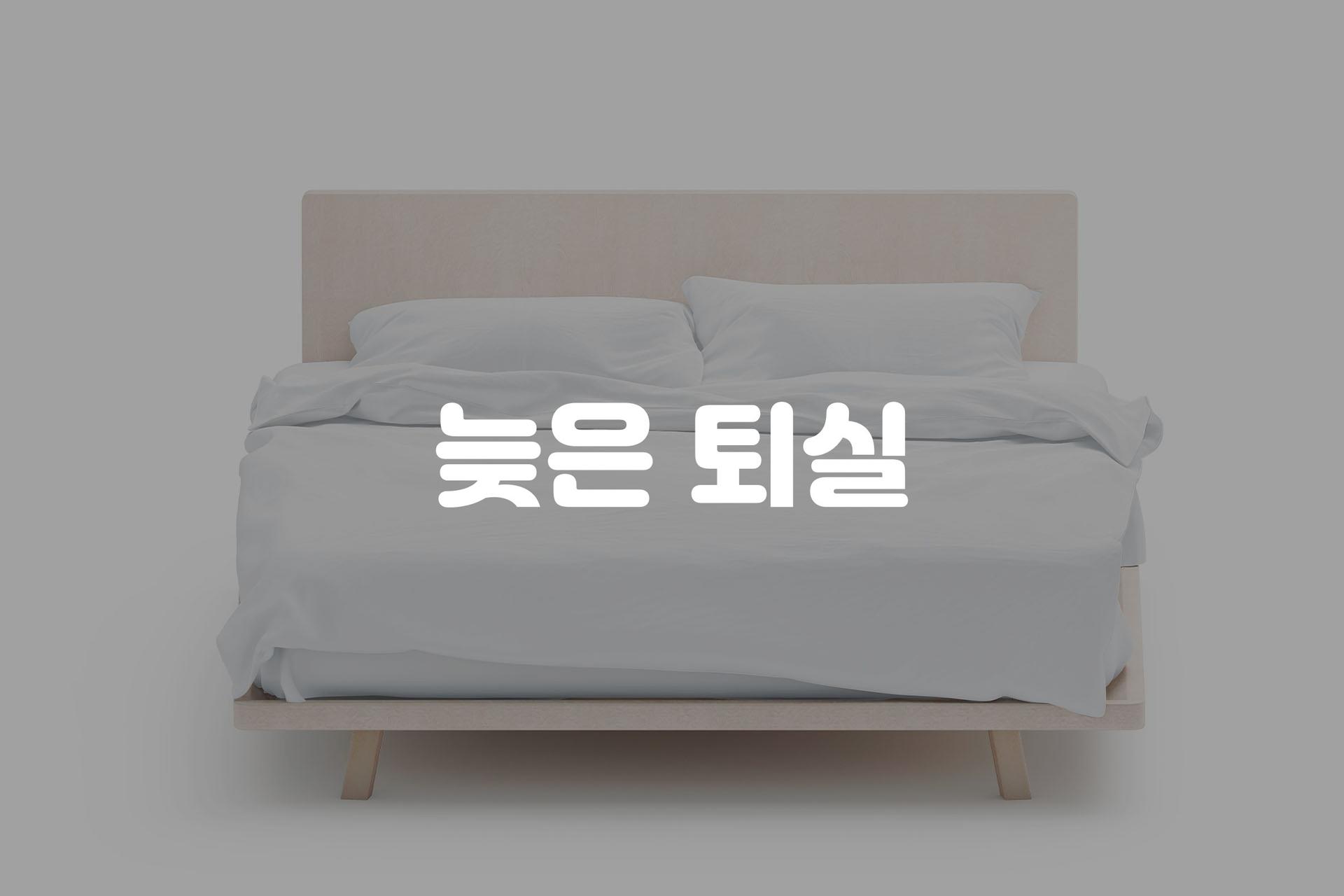 레이트체크아웃