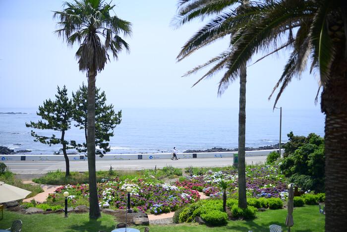 Seogwipo Jenny Ville Pension-11