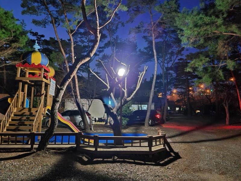 Pocheon Pine Tree Glamping Poolvilla-36