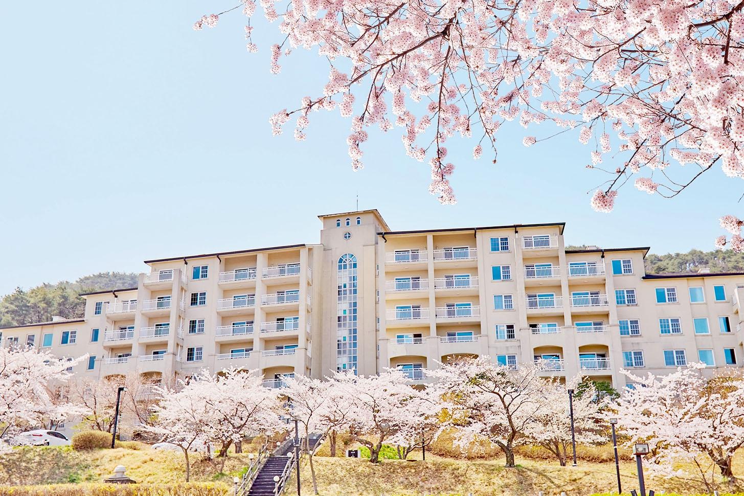 대표 사진