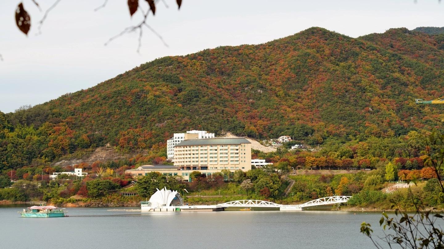 대표 사진