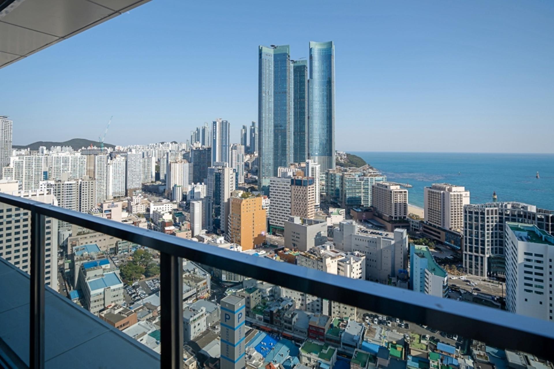 대표 사진
