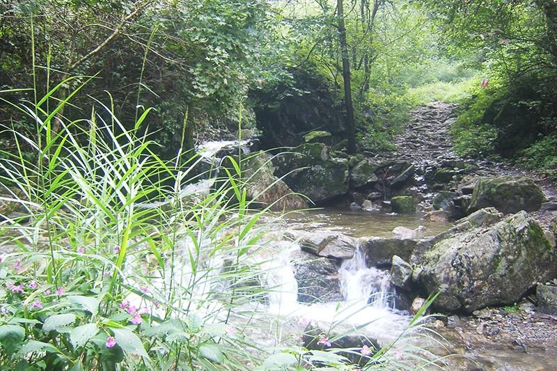 Yangpyeong Lime Orange Pension-15