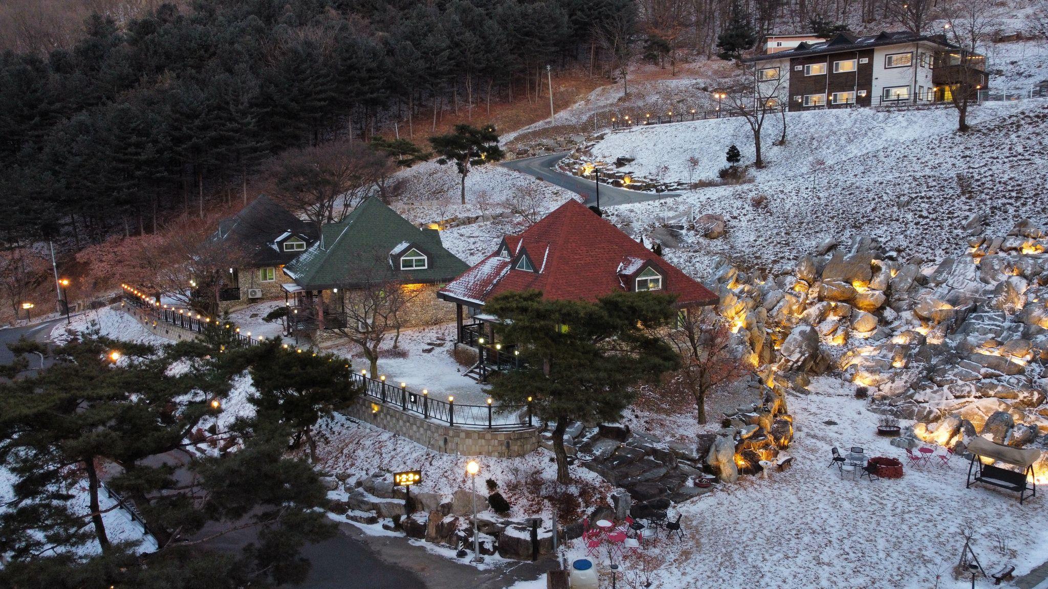 대표 사진