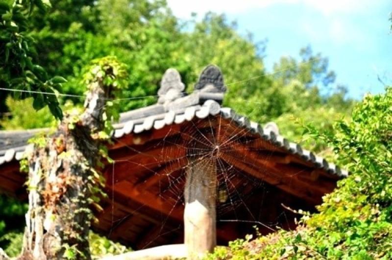 숙소 시설