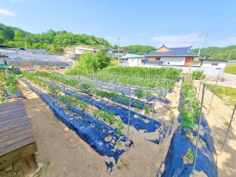 숙소 시설